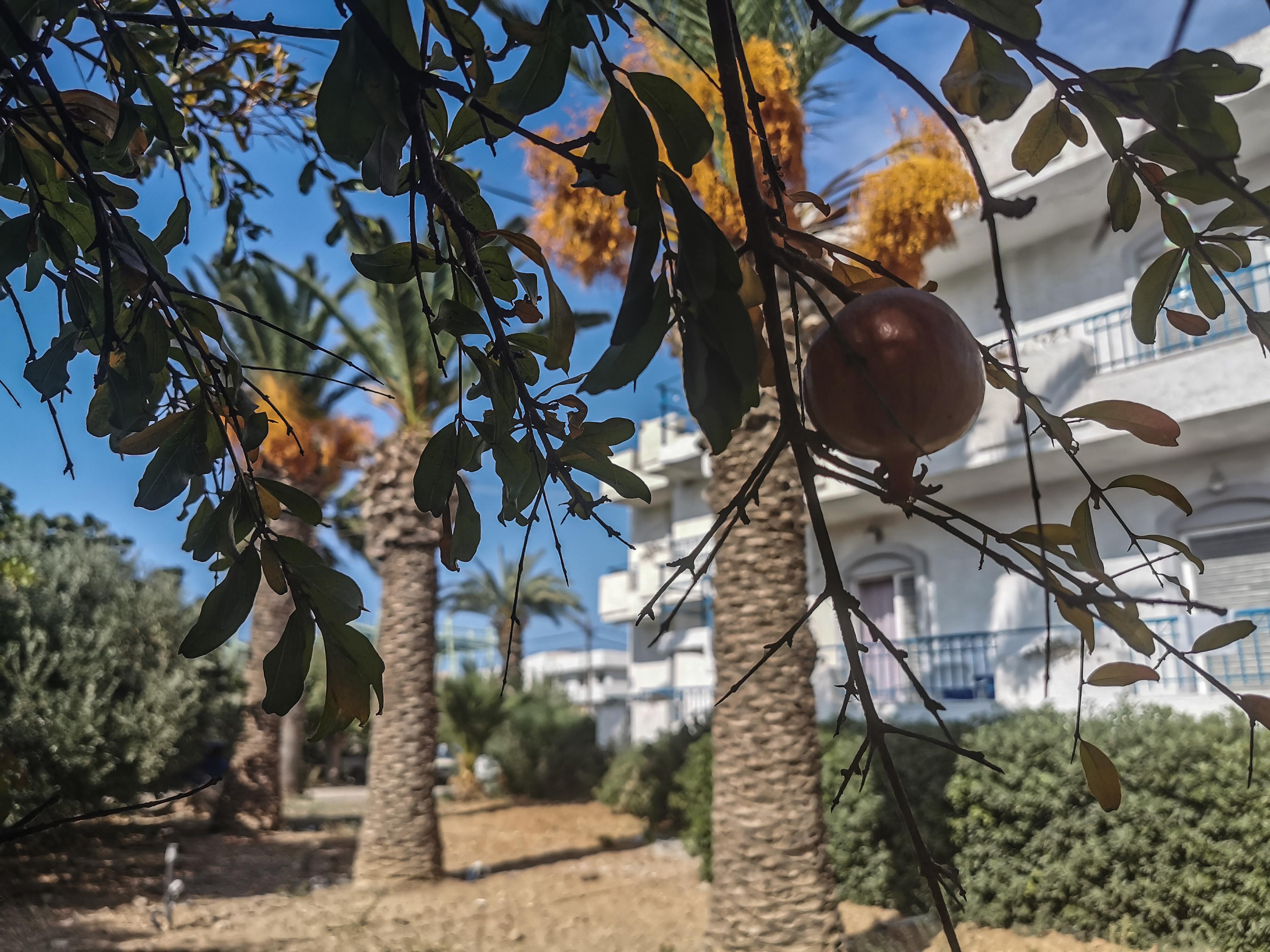 Gorgona Hotel Amoudara Lasithiou المظهر الخارجي الصورة