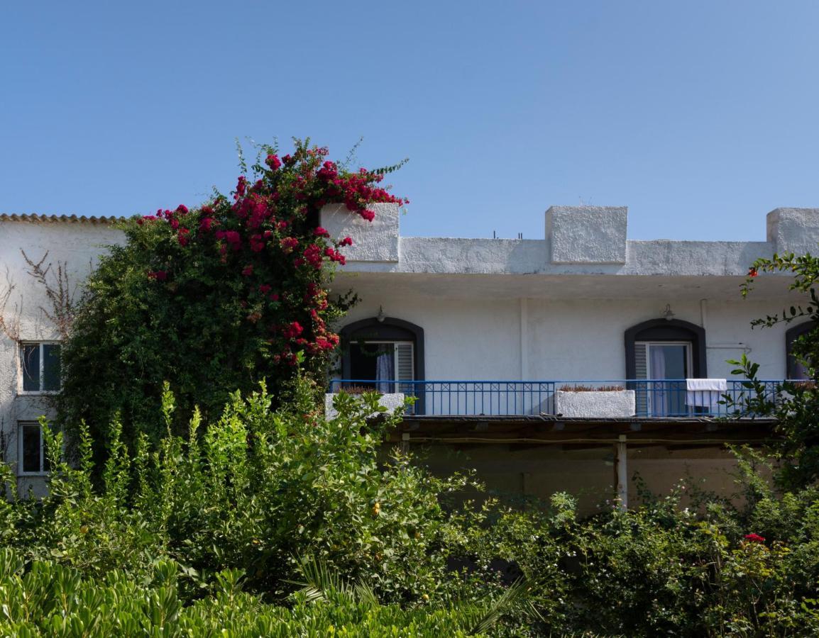 Gorgona Hotel Amoudara Lasithiou المظهر الخارجي الصورة